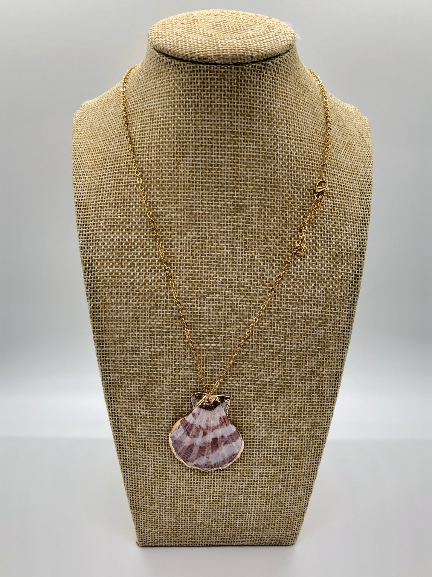 Sea Shell Necklace With Earrings